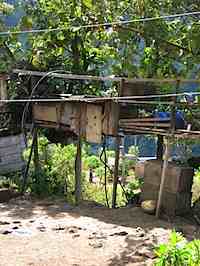 gallinero4SM.jpg
