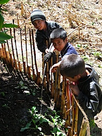 garden_waterSM.jpg