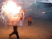 torito3SM.jpg
