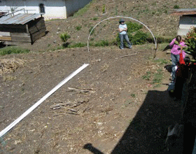 timelapse.gif