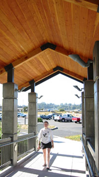 Entry Bridge