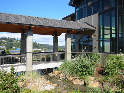 Saltwater wetland